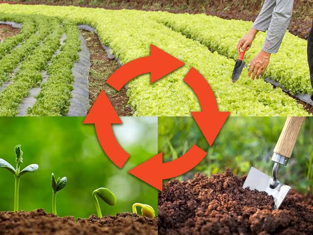 The Process Of Crop Rotation And It S Benefits Agric Profits