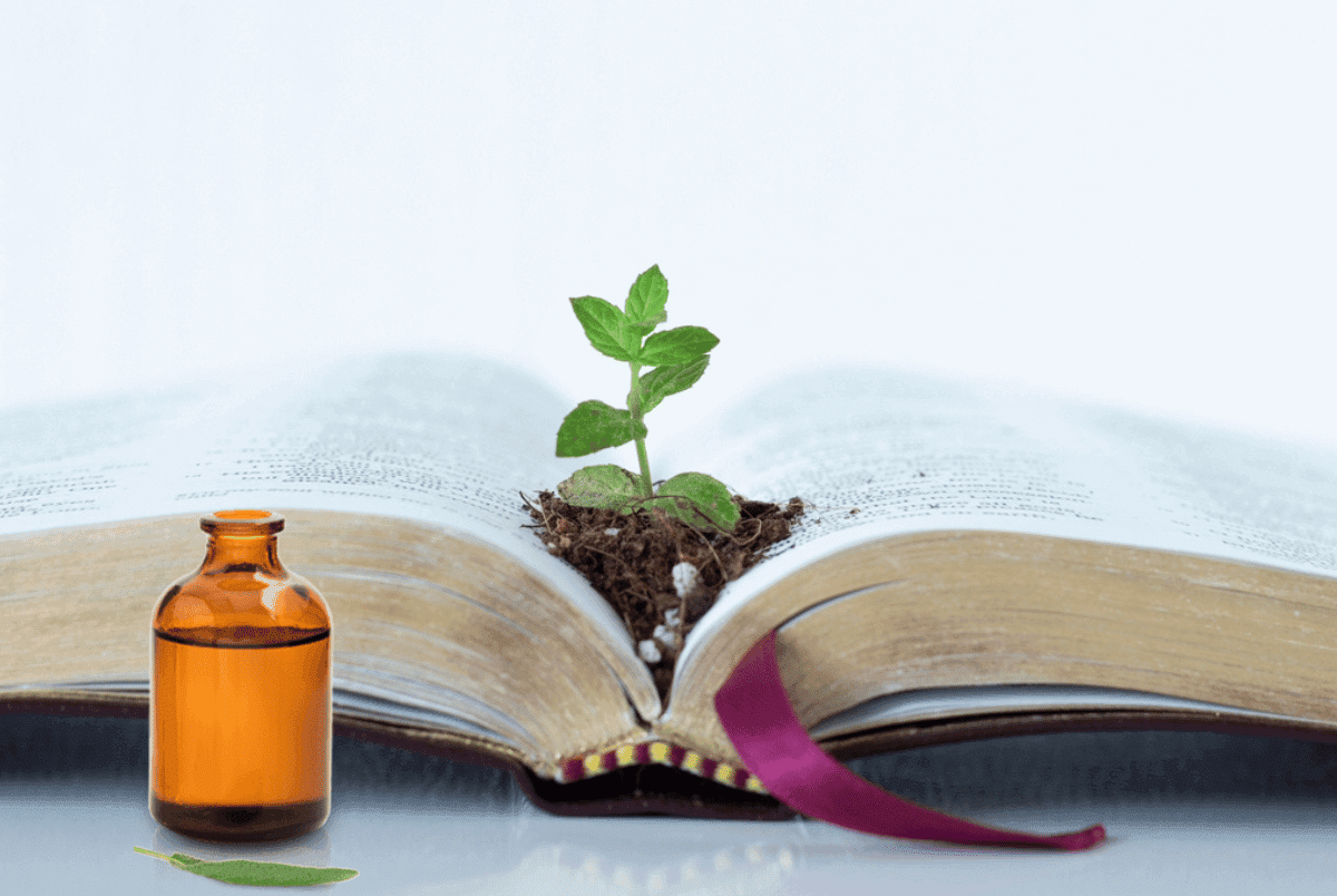 List of 23 Healing Herbs in the Bible