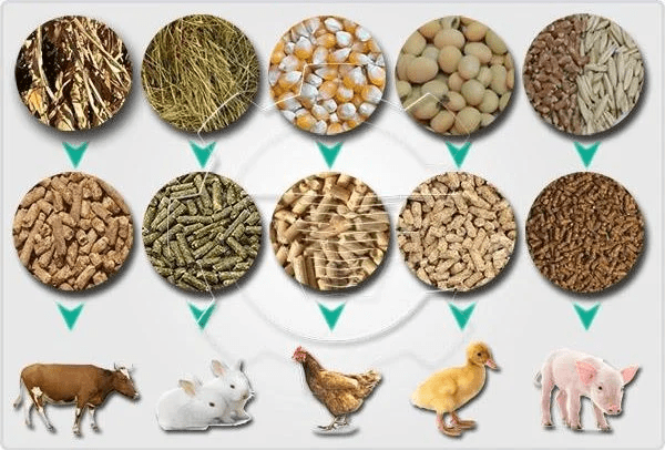 Process of Making Animal Feed Protein Isolates and Concentrates