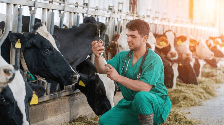 Viral Diseases of Livestock and Control Measures