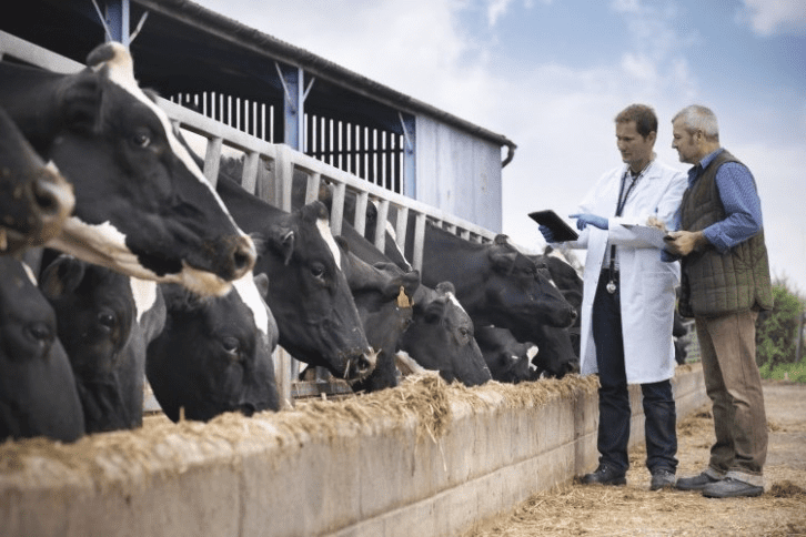 Guide to Proper Prevention and Control of Livestock Diseases