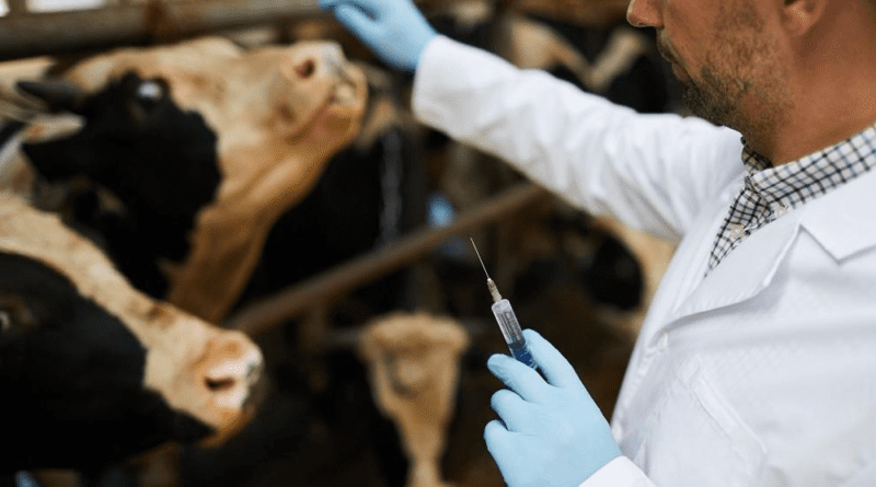Factors Affecting the Health Status of Animals and Solutions