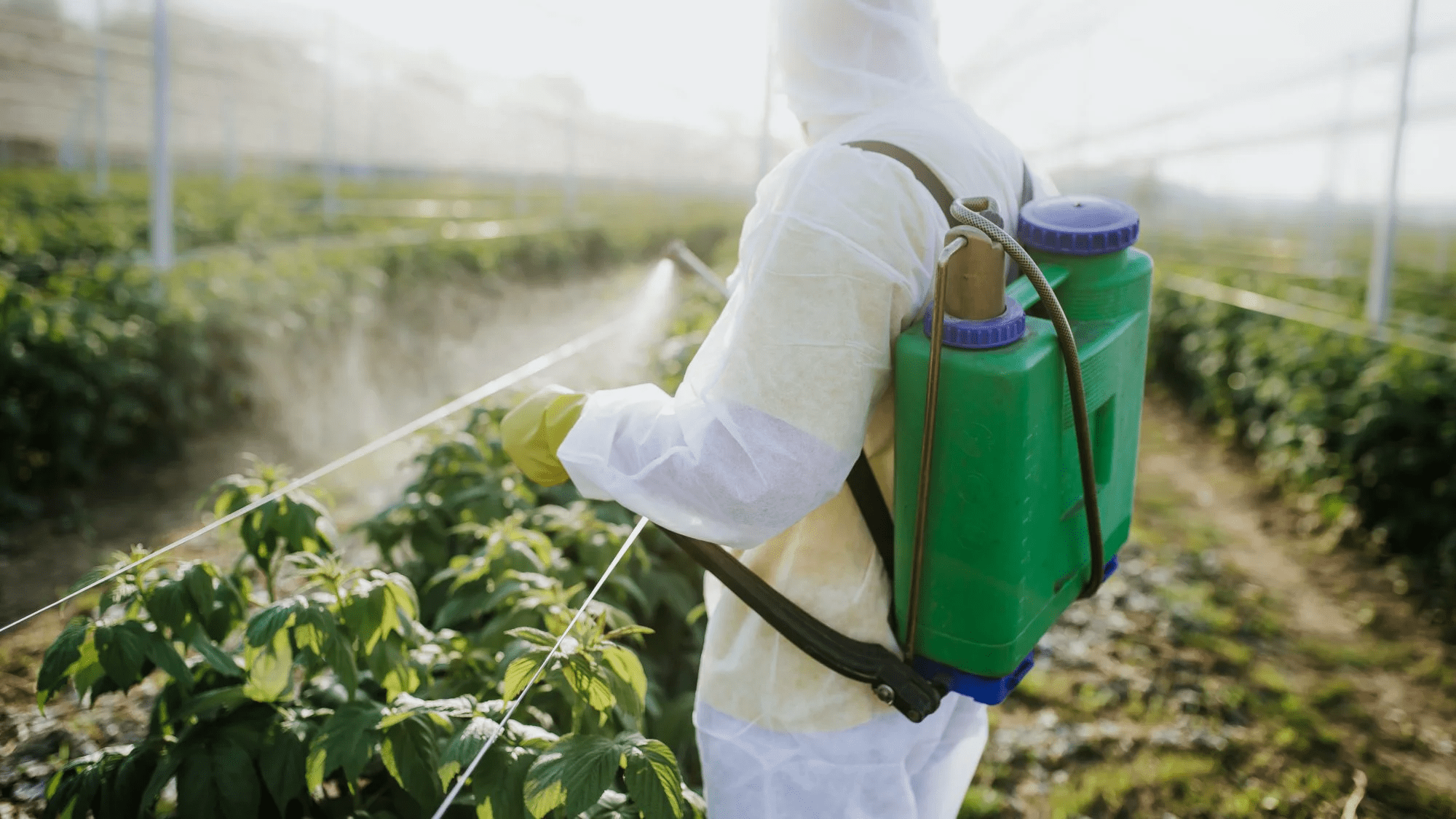 Application of Chemical and Operation of Pesticide Sprayers