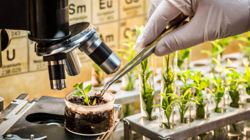 Contribution of Biotechnology to Crop Production and Related Fields