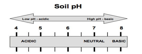 Soil Acidity