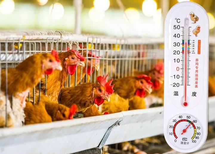 Poultry Room Thermometer