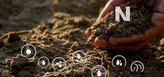 Nitrogen Content of Soils and Factors Affecting Soil Nitrogen