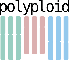 Polyploidy