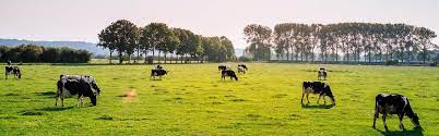 Pasture Production and Management Guide