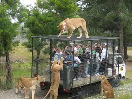 Wild Animal Park: Meaning, Uses and Importance