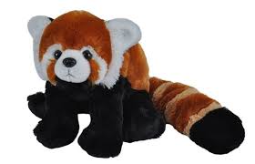 All You Need To Know About The Wild Panda All You Need To Know About The Wild Panda