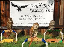 Wild Bird Rescue and Wild Bird Sanctuary