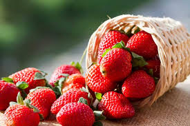 A Step by Step Guide on How to Grow Strawberries