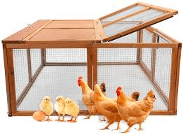 Basic things you should know about Poultry Farming