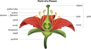 Types of Propagation Methods