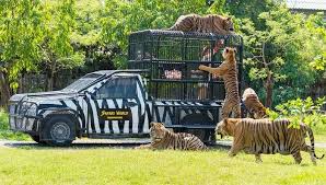 Wild Animal Park: Meaning, Uses and Importance