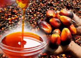Guide on Palm Oil Processing, Health Benefits and Uses