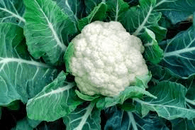 Interesting Facts about Cauliflower you must Know