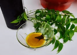 How to Make Neem Insecticide from Neem Leaves (Dogoyaro)