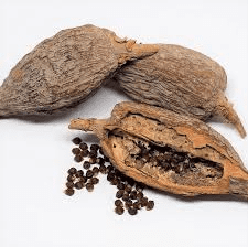 Alligator Pepper (Aframomum melegueta) – Facts, Health Benefits and Uses