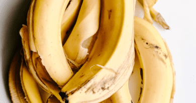 Uses and Economic Importance of Plantain Peels
