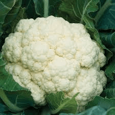 Amazing Surprising 10 Facts About Cauliflower