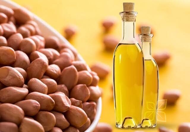 Guide on Groundnut Oil Processing, Health Benefits and Uses