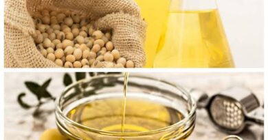 Guide on Soya Bean Oil Processing, Health Benefits and Uses