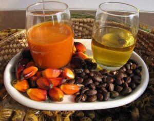 Guide on Palm Kernel Oil Processing, Health Benefits and Uses