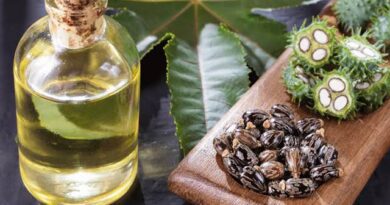 Guide on Castor Oil Processing, Health Benefits and Uses