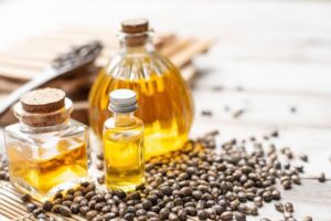 Guide on Castor Oil Processing, Health Benefits and Uses