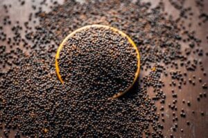 Health Benefits and Uses of Mustard Seed
