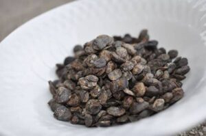 Health Benefits and Uses of Ogiri Okpei