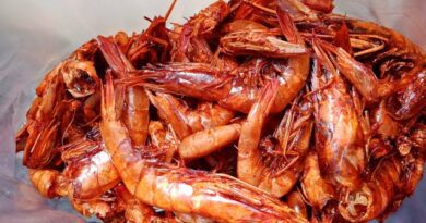 Health Benefits and Uses of Crayfish