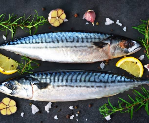 Health Benefits and Uses of Mackerel Seafood Health Benefits and Uses of Mackerel Seafood