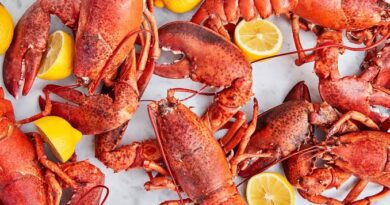 Health Benefits and Uses of Lobster
