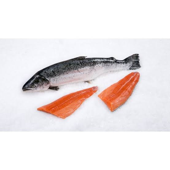 Health Benefits and Uses of Salmon - Agric4Profits