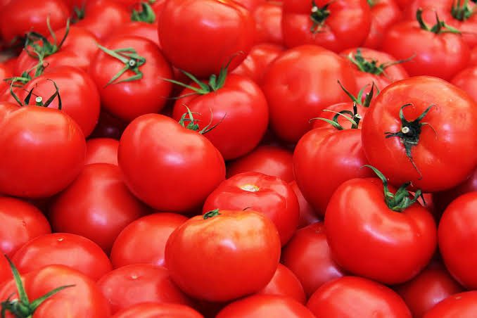 Health Benefits and Uses of Fresh Tomatoes 