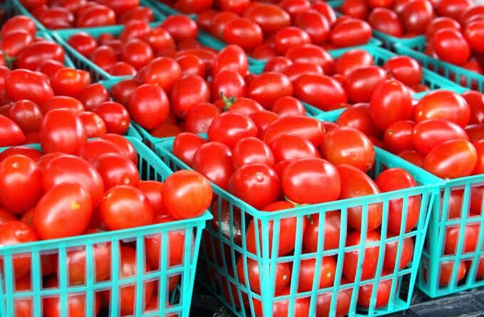 Health Benefits and Uses of Fresh Tomatoes