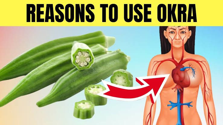 Health Benefits and Uses of Okra ( Fresh or Dry Okro)