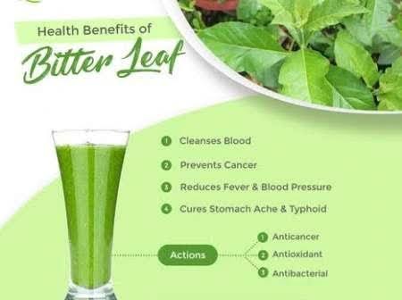 Health Benefits and Uses of Bitter Leaves 