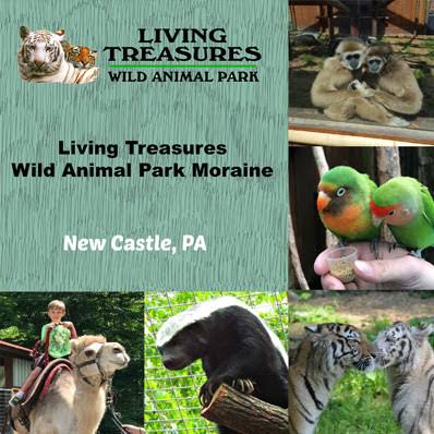 Living Treasures New Castle: History, Development, Events and Activities 