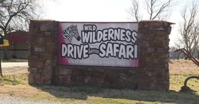 All You Need To Know About The Wild Wilderness Safari