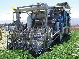 Mechanized Harvesting Of Field Crops