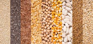 Standardization and Grading of Grains