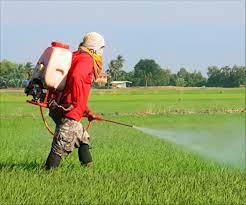 Safety Measures of Handling Farm Poisons