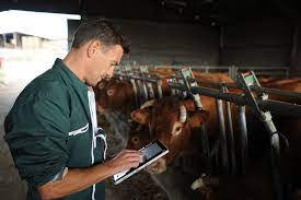 Guide to Livestock Performance Testing and Progeny Testing