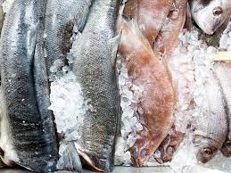 Fish Preservation and Processing Guide