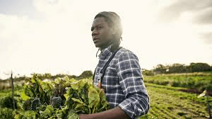 Complete Step By Step Guide on How to Setup a Successful Farm Complete Step By Step Guide on How to Setup a Successful Farm