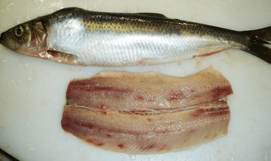 Fungal Fish Diseases and Their Control Methods